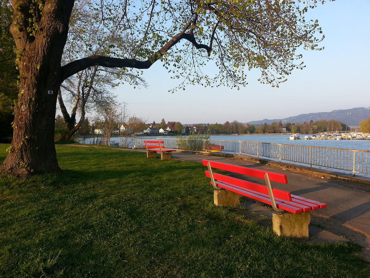 载着汗水与 载着汗水与