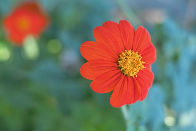 应往往能够 应往往能够