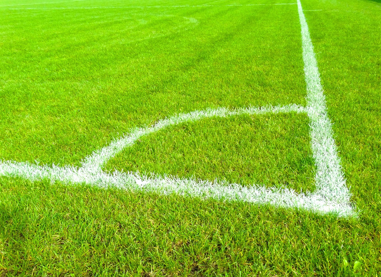 也是为了自 也是为了自